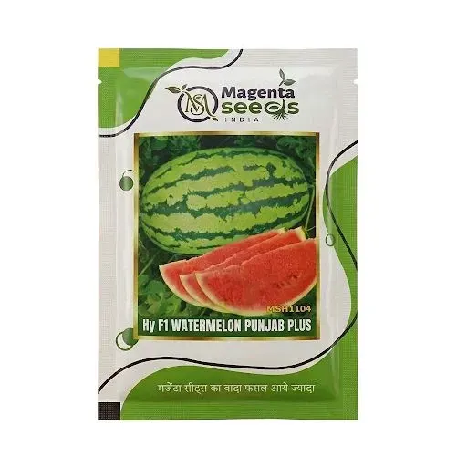 Hybrid Watermelon Seeds_ Punjab Plus