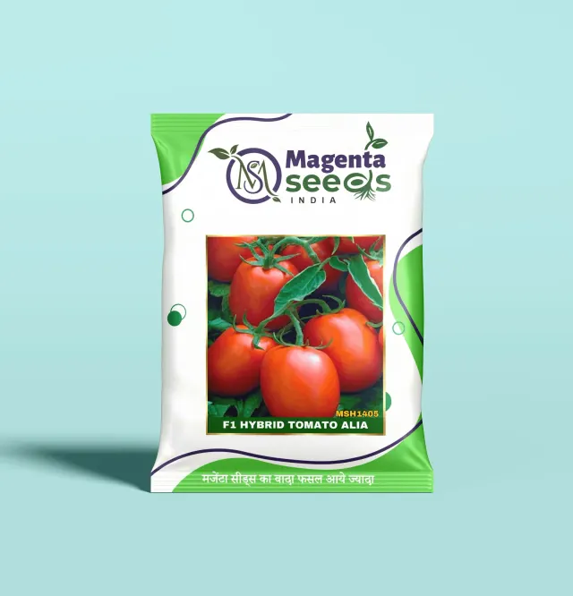 ALIA-Hybrid Tomato Seeds