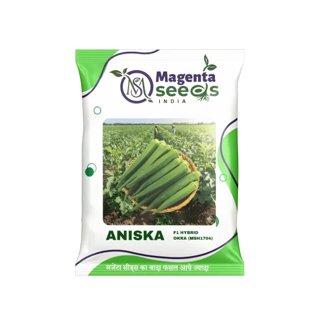 ANISKA-Hybrid Okra/Bhendi Seeds