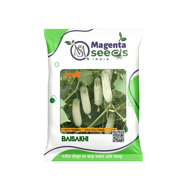 BAISAKHI - White Desi Cucumber Seeds