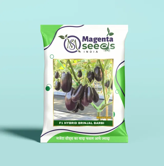 BARBI-Hybrid Brinjal Seeds