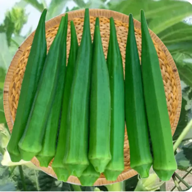 Bhendi Seeds