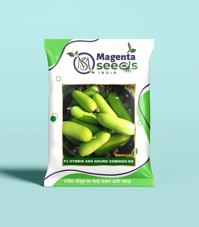 COMINZO-DG-Hybrid Ash Gourd Seeds