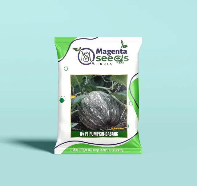 DABANG-Hybrid Pumpkin Gourd Seeds