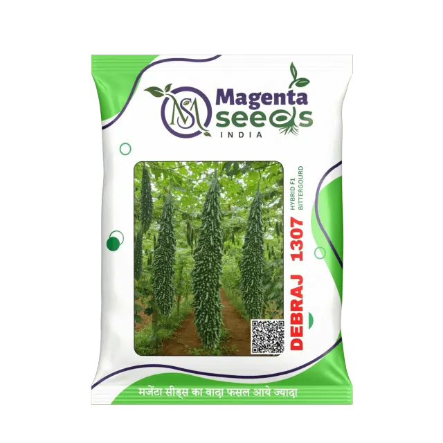 DEBRAJ  1307 Hybrid Bitter Groud Seeds
