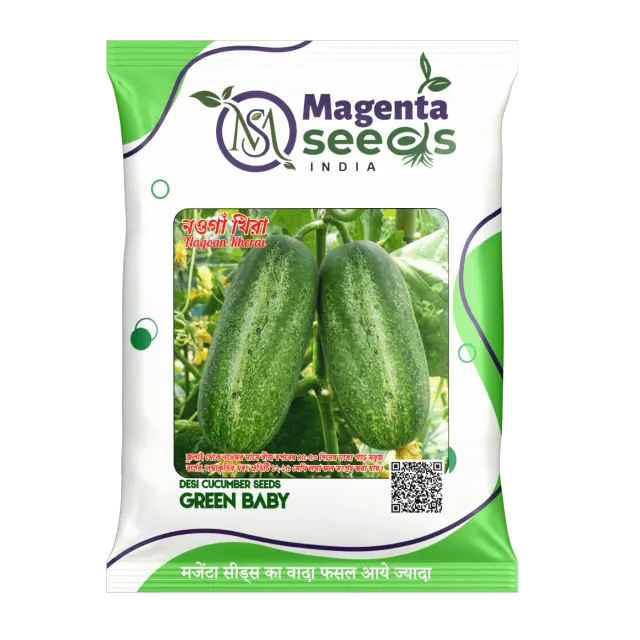 Green Baby Nagaon Kherai Cucumber Seeds