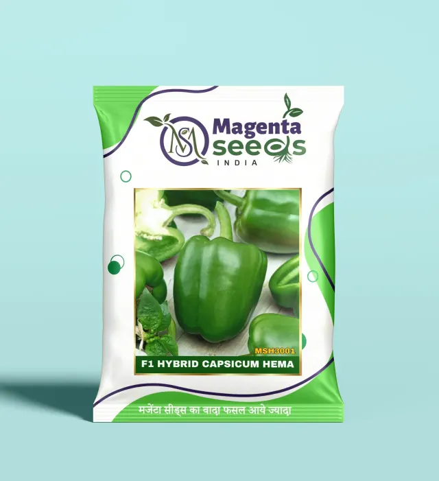 HEMA -Hybrid Capsicum Seeds