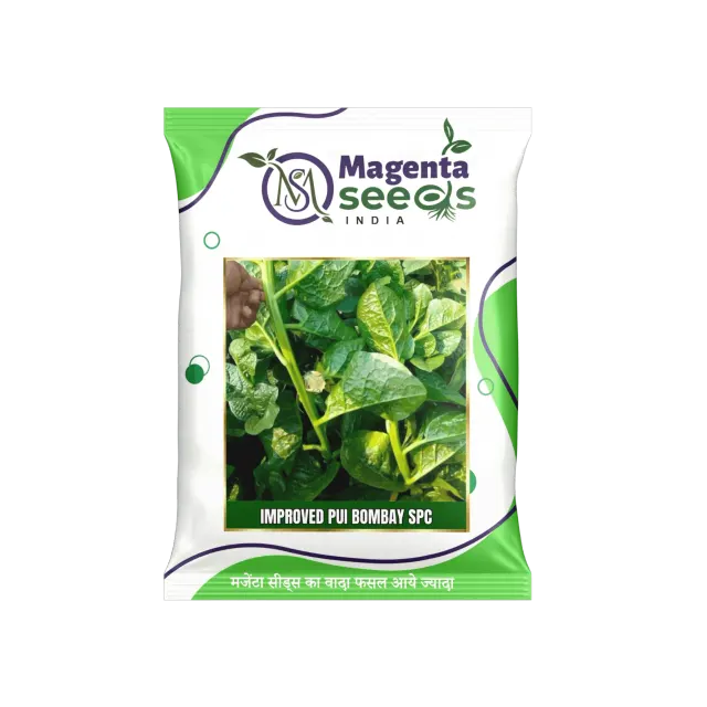 IMPROVED PUI BOMBAY SPC/ Malabar Spinach Seeds | Pui Saag Seeds | Ceylon Spinach Seed |