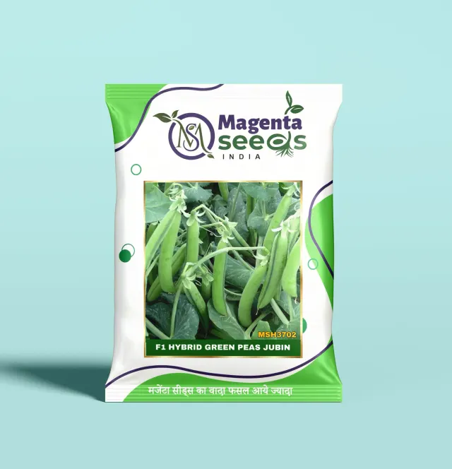 JUBIN GREEN PEAS Seeds
