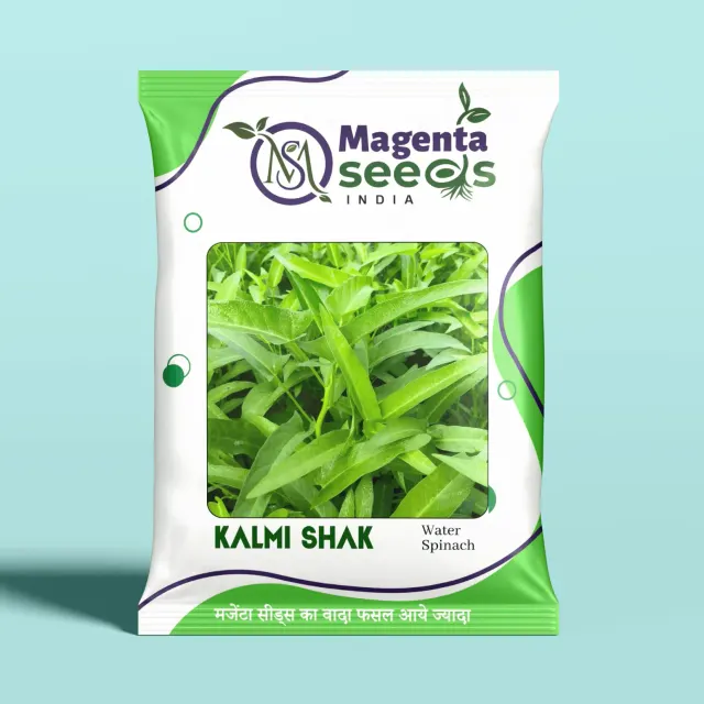 Kalmi Saag Seeds_Water Spinach Seeds (Ipomoea aquatica)_Kangkung Seeds | Leafy Vegetable Seeds