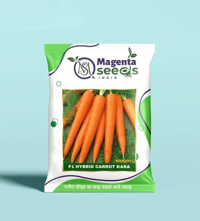 KARA-Hybrid Carrot Seeds