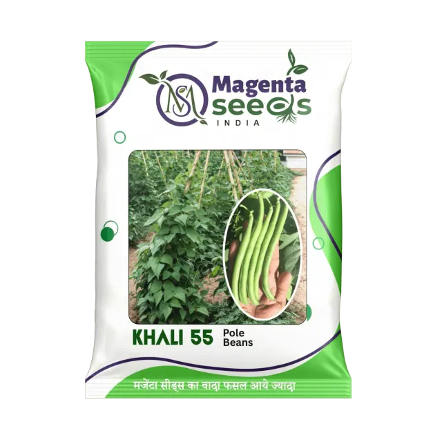 KHALI 55 - Pole Beans
