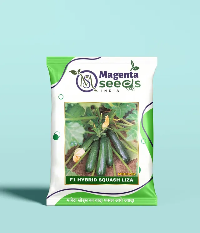 LIZA-Hybrid Squah Seeds