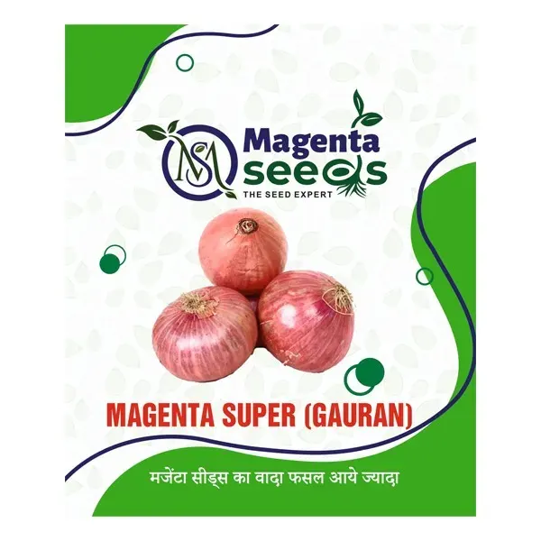 MAGENTA SUPER GOURAN