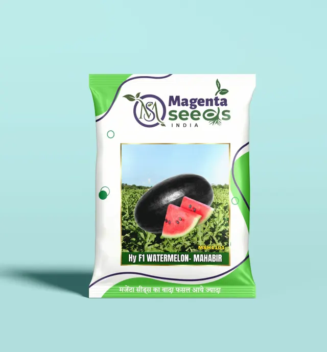 MAHABIR- Hybrid Watermelon Seeds