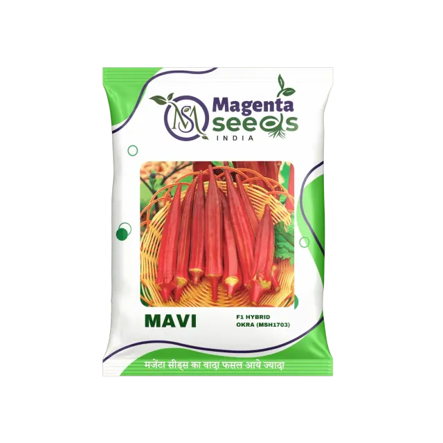 MAVI--Improved Okra/Bhendi Seeds