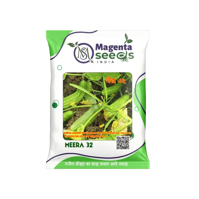 MEERA-32 Desi Cucumber Seeds / देसी 12 पाटा (पत्ती) ककड़ी बीज , Winter Special