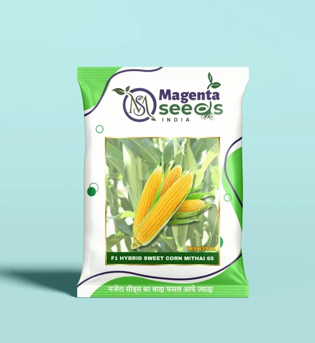 MITHAI 70 SWEET CORN