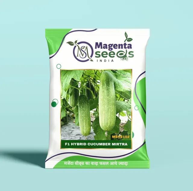 MITRA-Hybrid Cucumber Seeds