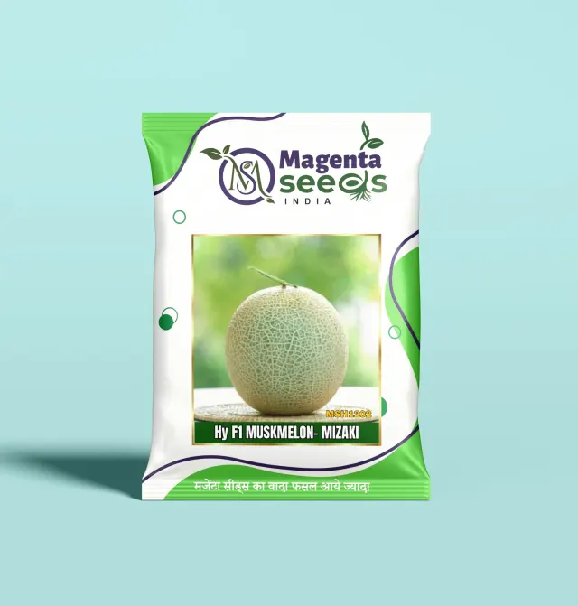 MIZAKI-Hybrid Muskmelon Seeds