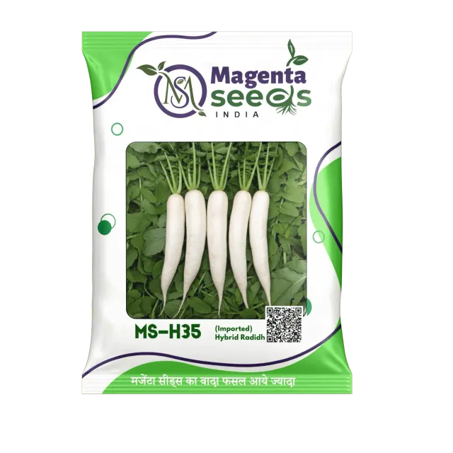 MS-H35- Hybrid Radidh Seeds-(Imported)