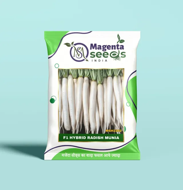 MUNIA-Hybrid Radish Seeds