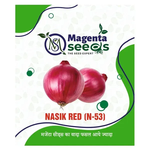 NASIK RED N-53 - F1 Hybrid Onion Seeds