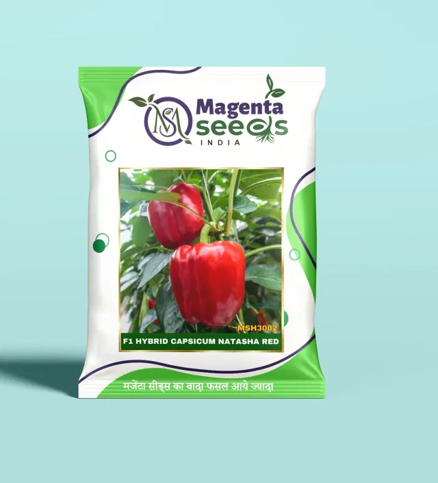 NATASHA RED-Hybrid Capsicum Seeds