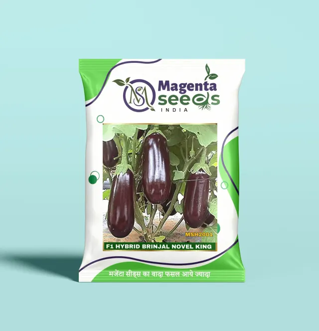 NOVEL KING-Hybrid Brinjal Seeds