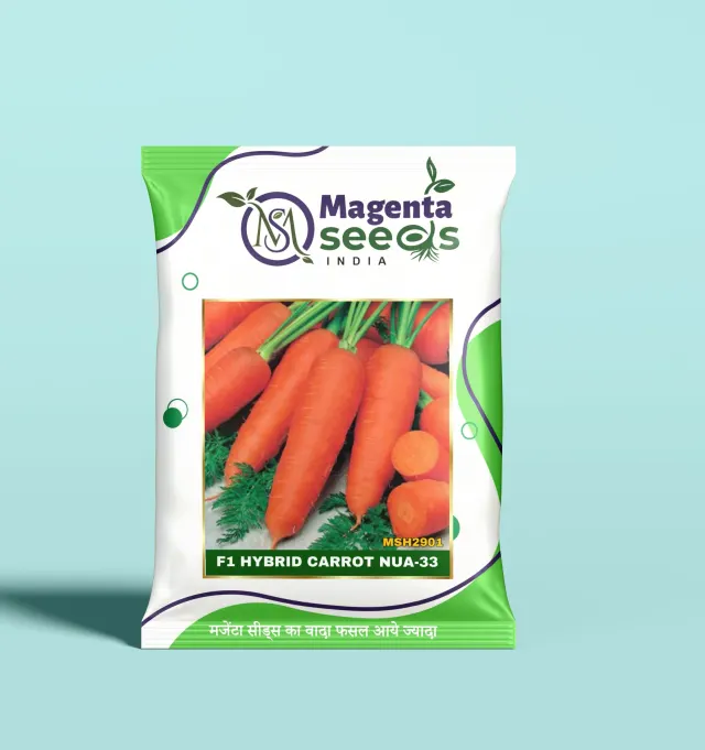 NUA-33-Hybrid Carrot Seeds
