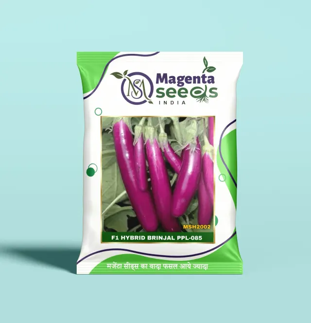 PPL-086-Hybrid Brinjal Seeds