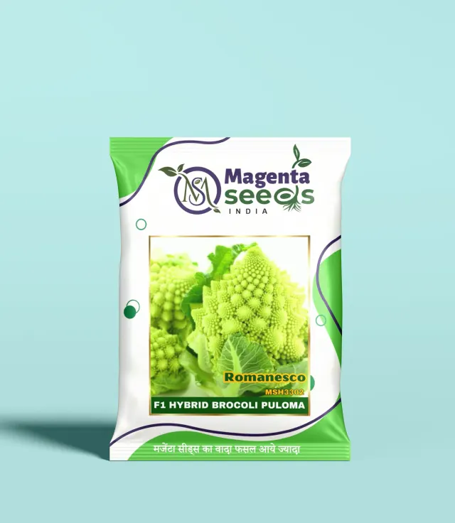 PULOMA-Hybrid Brocoli Seeds