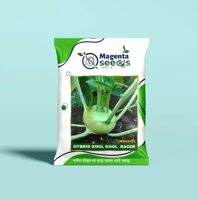 RACER-Hybrid Knol Khol Seeds