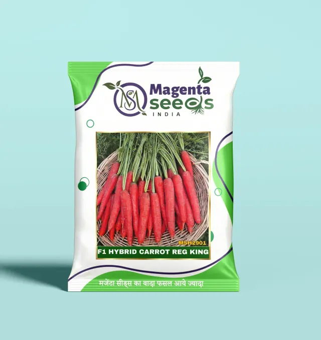 RED KING-Hybrid Carrot Seeds