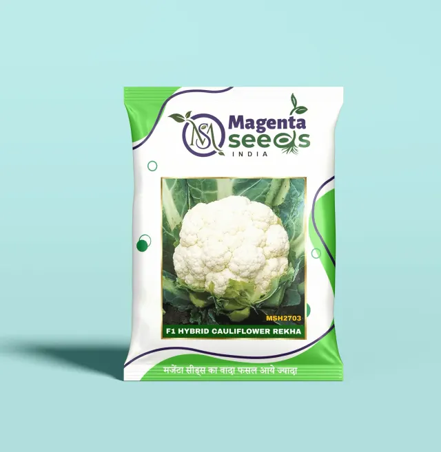 REKHA-Hybrid Cauliflower Seeds