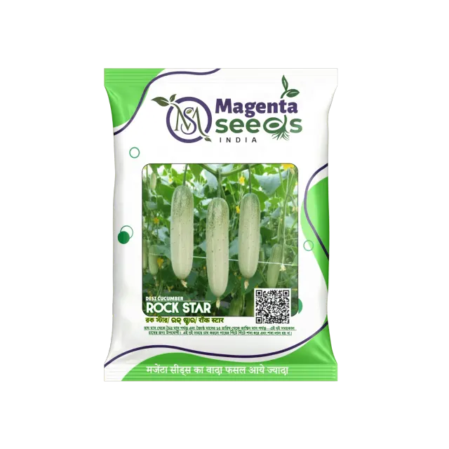 Rockstar IMP Cucumber Seeds – High Yield, Early Maturity, Disease Resistant