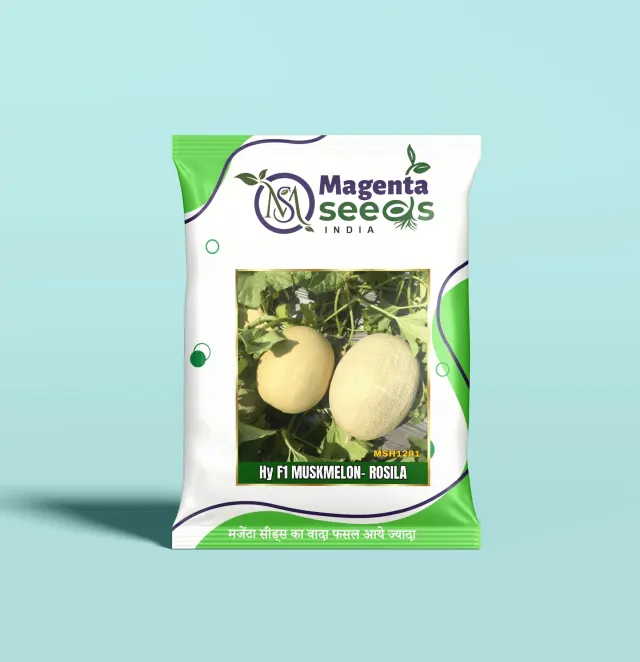 ROSILA-Hybrid Muskmelon Seeds