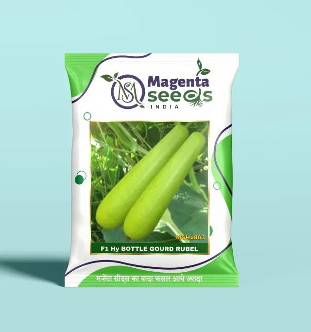 RUBEL-Hybrid Bottle Gourd Seeds