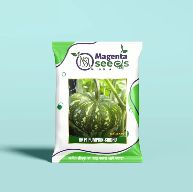 SINDHU-Hybrid Pumpkin Gourd Seeds
