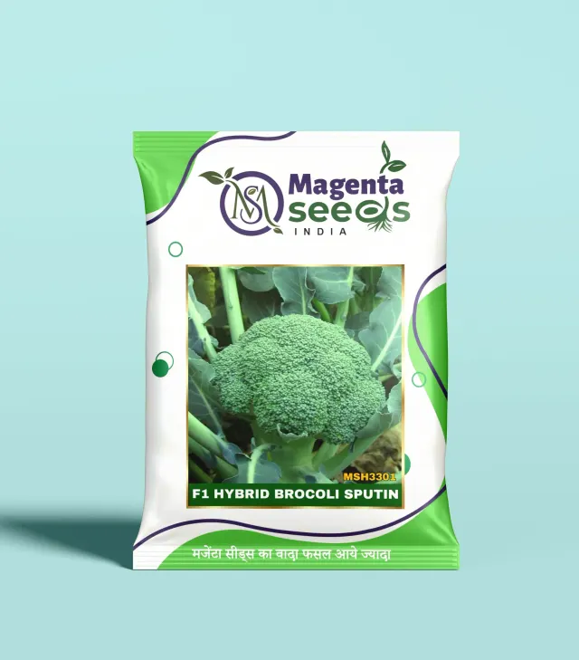 SPUTIN-Hybrid Brocoli Seeds