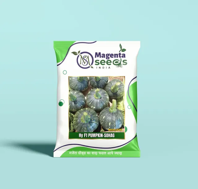 SUHAG-Hybrid Pumpkin Gourd Seeds