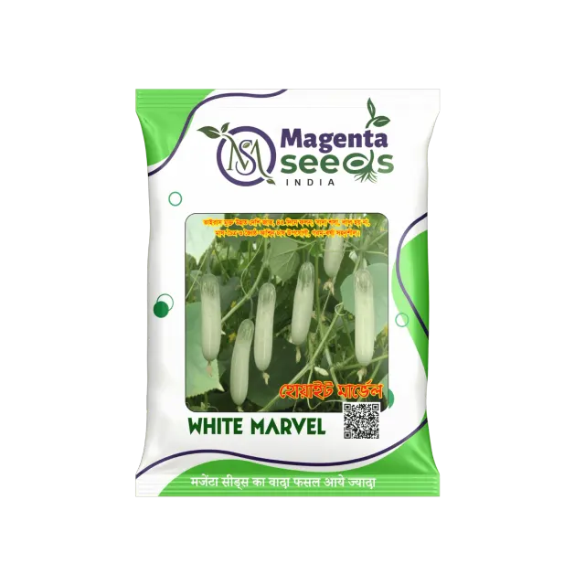 White Marvel – स्पेशल इम्प्रूव्ड देसी खीरा (Desi Khira) Cucumber Seeds | हाई यील्ड | बेस्ट क्वालिटी बीज