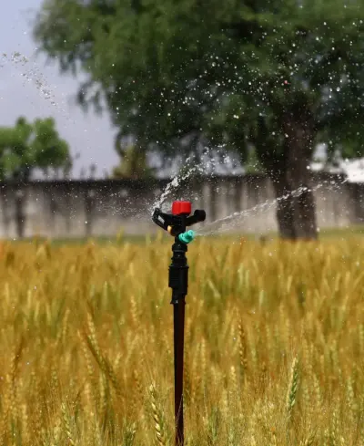 Crop Protection