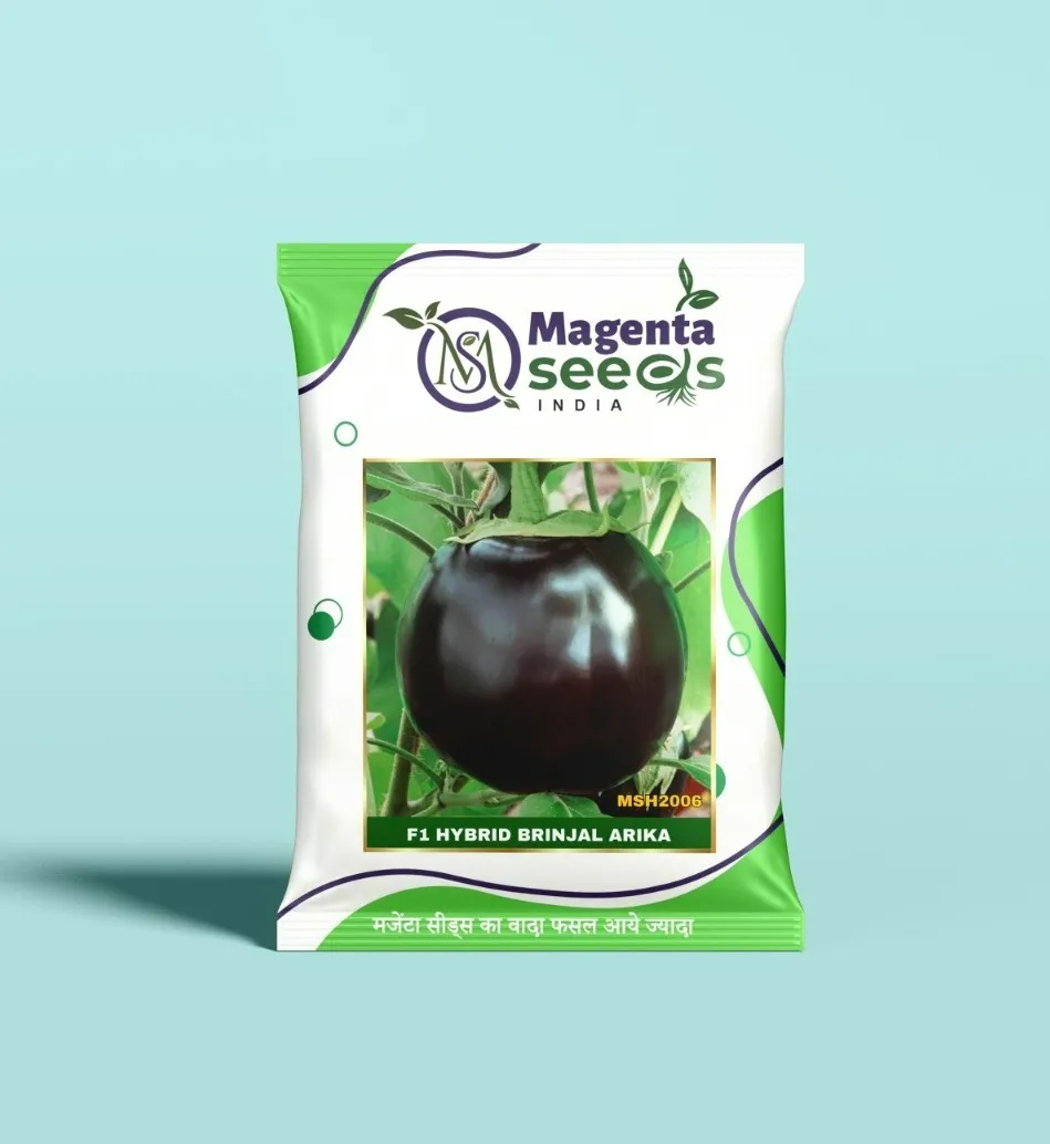 Arika- hybrid Brinjal seeds