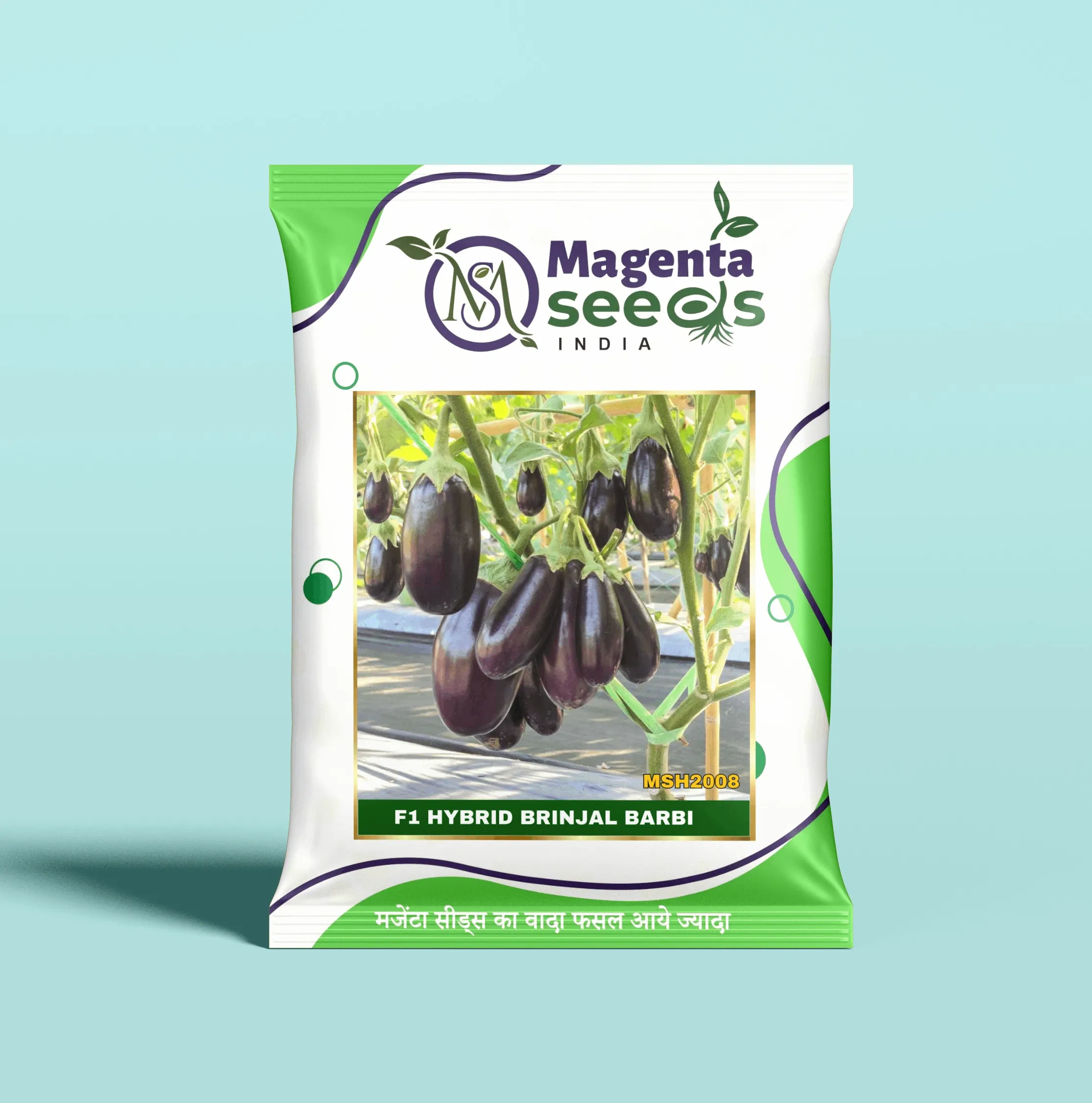 BARBI-Hybrid Brinjal Seeds