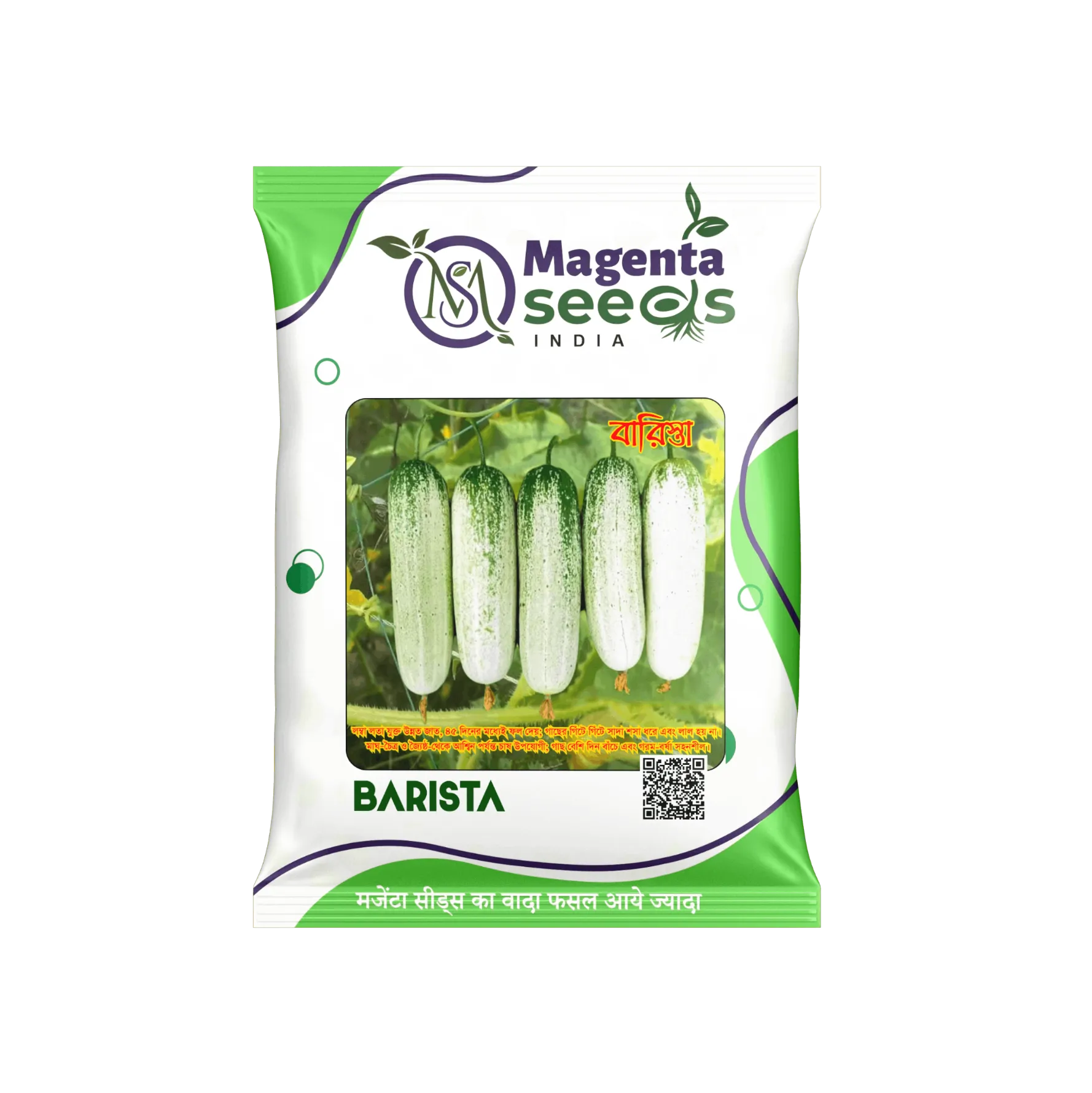BARISTA - Desi Cucumber Seeds (Bengal Special) – बारिस्ता देशी खीरा के बीज