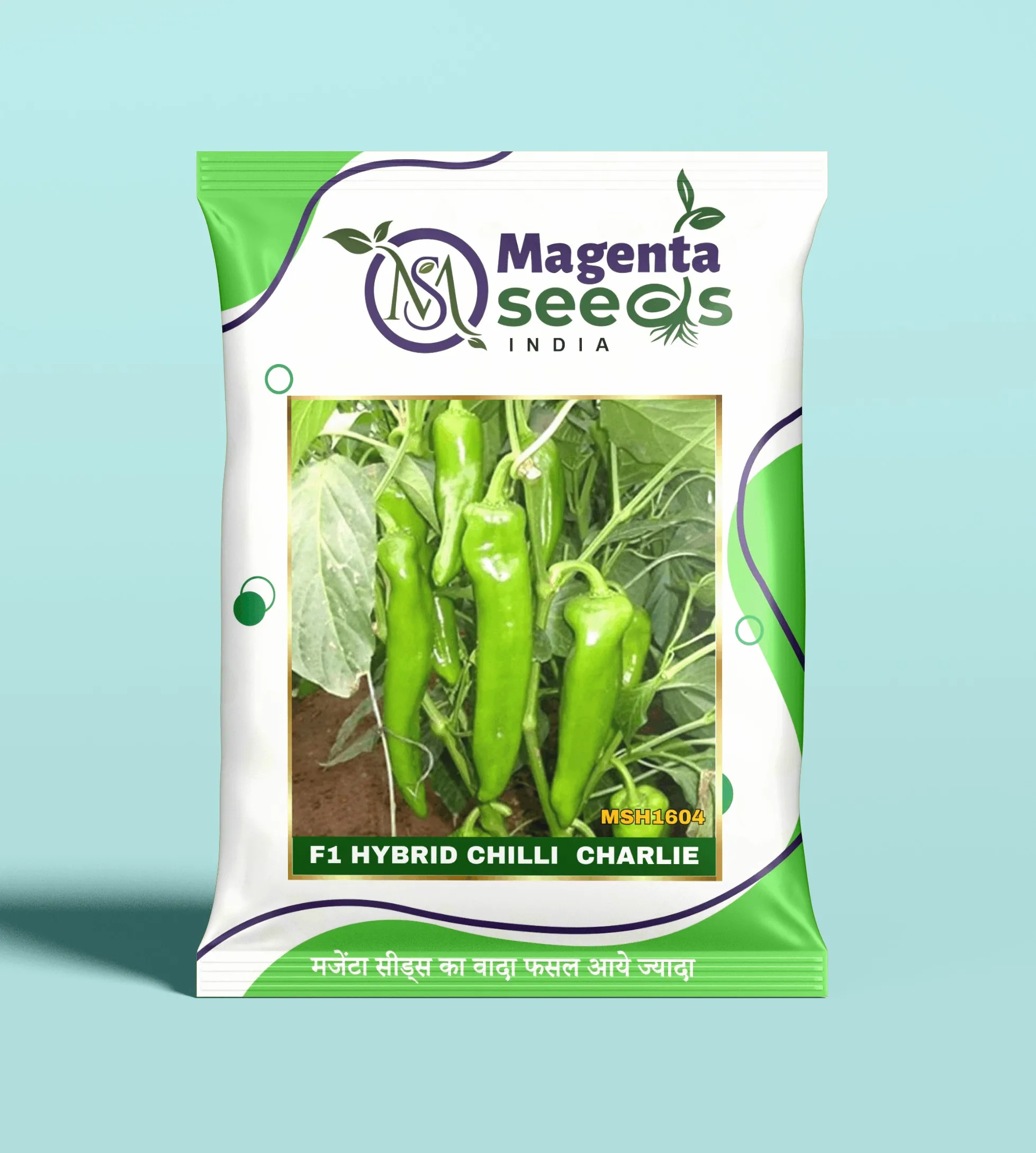 CHARLIE-Hybrid Chilli Gourd Seeds