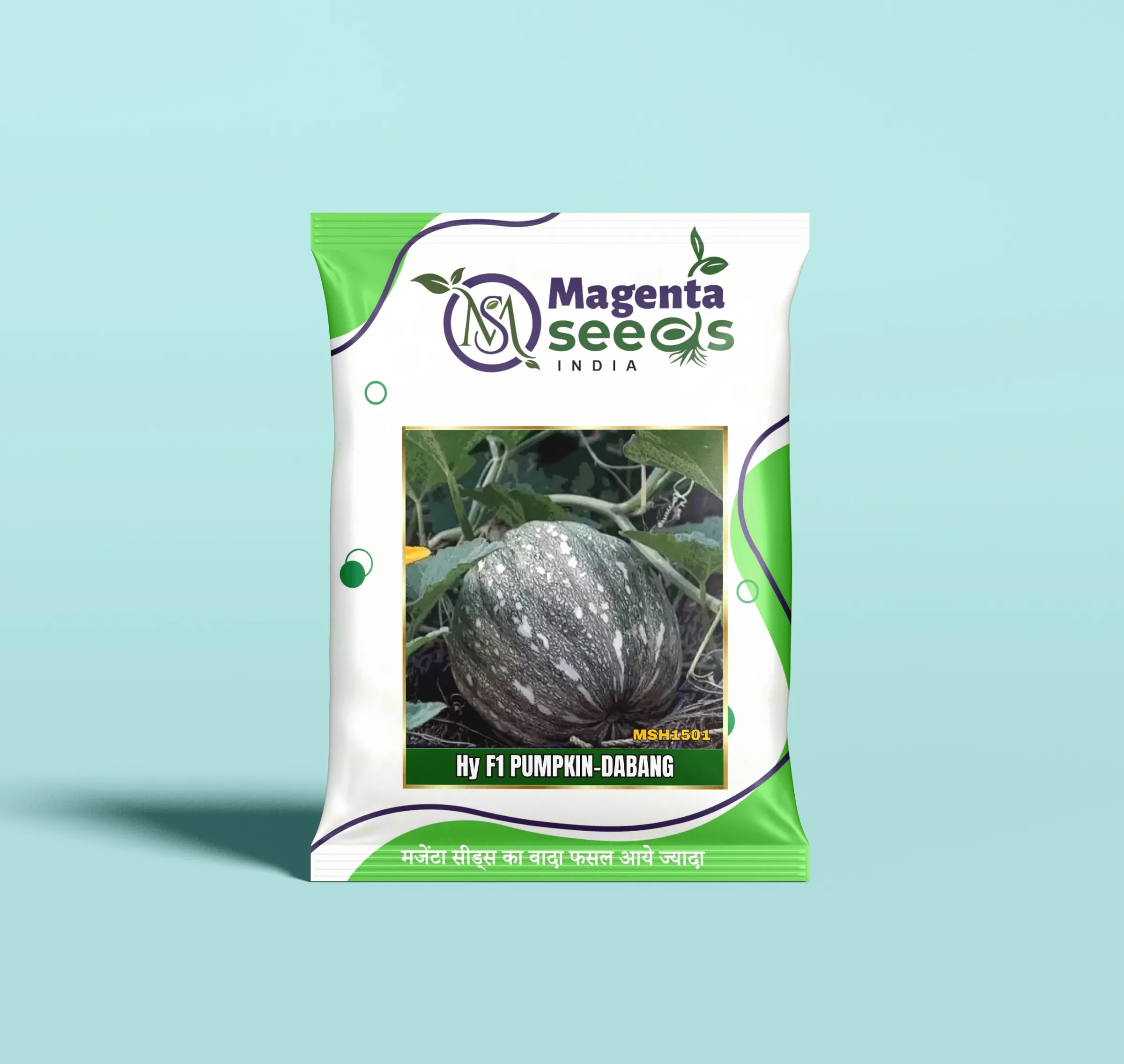DABANG-Hybrid Pumpkin Gourd Seeds