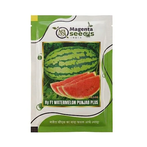 Hybrid Watermelon Seeds_ Punjab Plus