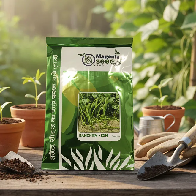 KANCHITA -KXN -Cawpea Seeds